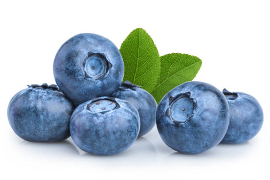 Blueberry production