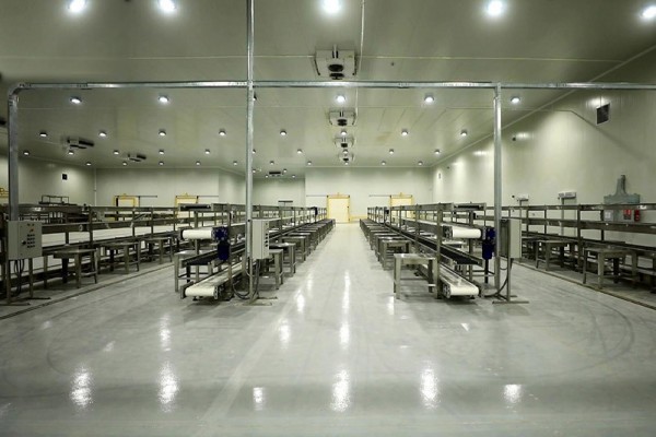 Packing & Cold Chain Facilities